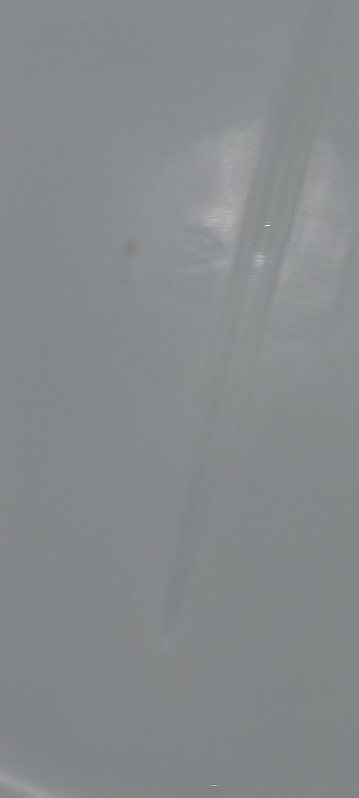 Sump After Cleaning